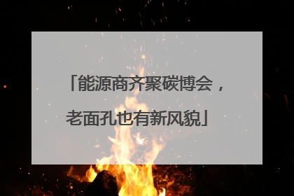 能源商齐聚碳博会，老面孔也有新风貌