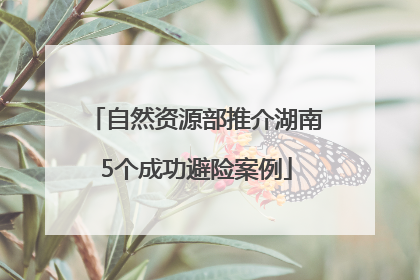 自然资源部推介湖南5个成功避险案例