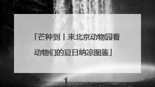 芒种到丨来北京动物园看动物们的夏日纳凉图鉴
