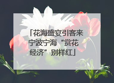 花海盛宴引客来 宁波宁海“赏花经济”别样红