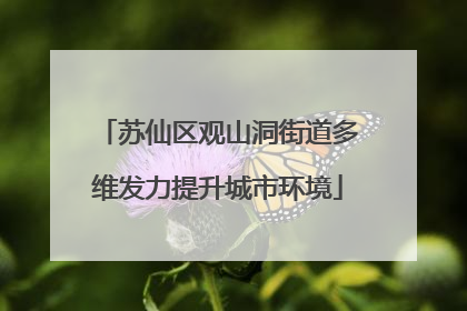 苏仙区观山洞街道多维发力提升城市环境