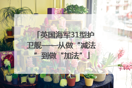 英国海军31型护卫舰——从做“减法”到做“加法”