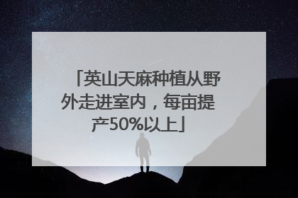 英山天麻种植从野外走进室内，每亩提产50%以上