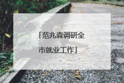 范兆森调研全市就业工作
