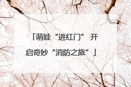 萌娃“进红门” 开启奇妙“消防之旅”