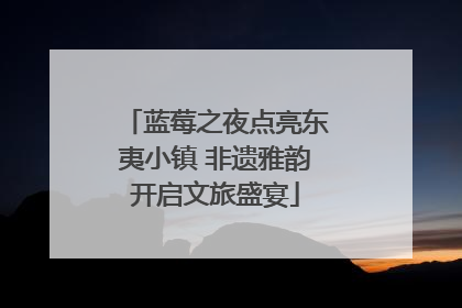 蓝莓之夜点亮东夷小镇 非遗雅韵开启文旅盛宴