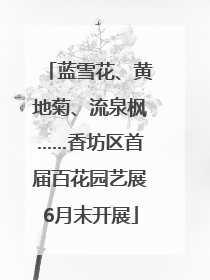 蓝雪花、黄地菊、流泉枫……香坊区首届百花园艺展6月末开展