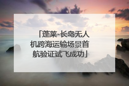 蓬莱-长岛无人机跨海运输场景首航验证试飞成功