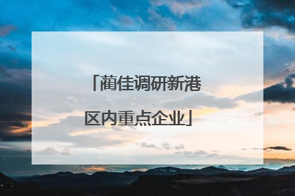 蔺佳调研新港区内重点企业