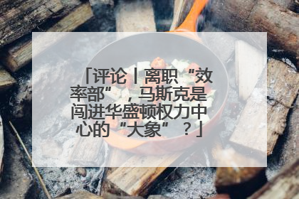 评论丨离职“效率部”，马斯克是闯进华盛顿权力中心的“大象”？