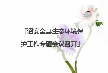 诏安全县生态环境保护工作专题会议召开