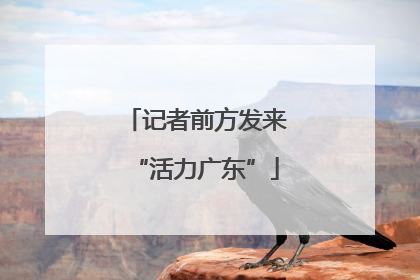 记者前方发来“活力广东”
