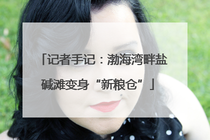 记者手记：渤海湾畔盐碱滩变身“新粮仓”