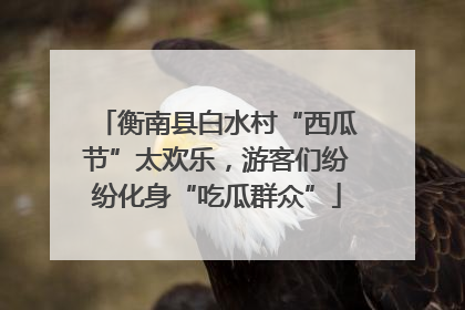 衡南县白水村“西瓜节”太欢乐，游客们纷纷化身“吃瓜群众”