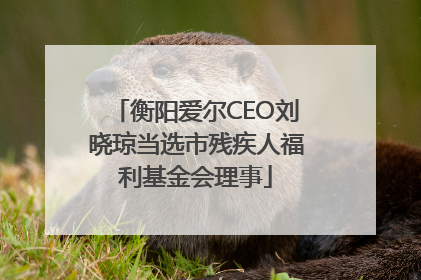 衡阳爱尔CEO刘晓琼当选市残疾人福利基金会理事
