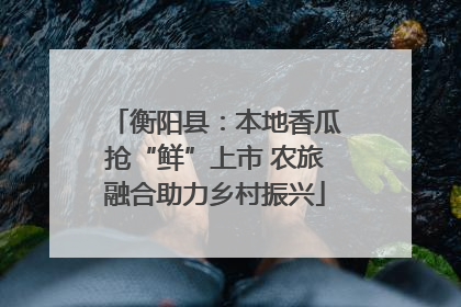 衡阳县：本地香瓜抢“鲜”上市 农旅融合助力乡村振兴