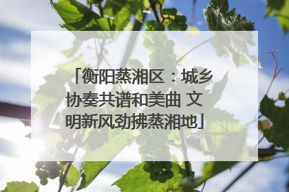 衡阳蒸湘区：城乡协奏共谱和美曲 文明新风劲拂蒸湘地