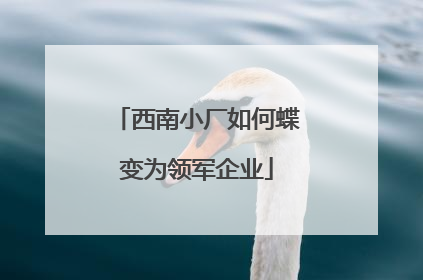 西南小厂如何蝶变为领军企业