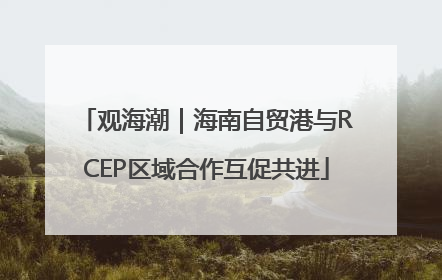 观海潮｜海南自贸港与RCEP区域合作互促共进