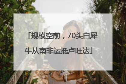 规模空前，70头白犀牛从南非运抵卢旺达