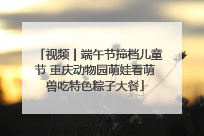 视频｜端午节撞档儿童节 重庆动物园萌娃看萌兽吃特色粽子大餐