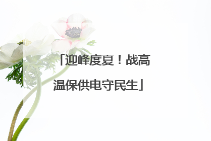 迎峰度夏！战高温保供电守民生