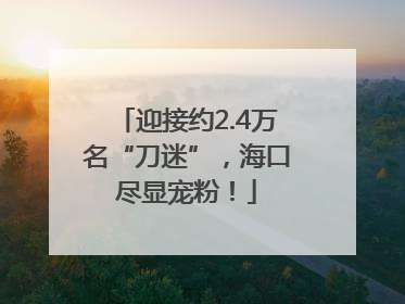 迎接约2.4万名“刀迷”，海口尽显宠粉！