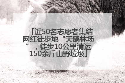 近50名志愿者集结网红徒步地“天鹅林场”，徒步10公里清运150余斤山野垃圾