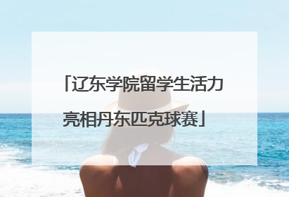 辽东学院留学生活力亮相丹东匹克球赛