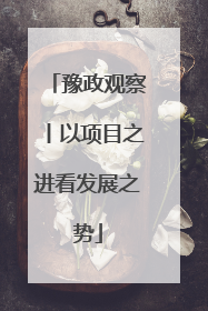 豫政观察丨以项目之进看发展之势