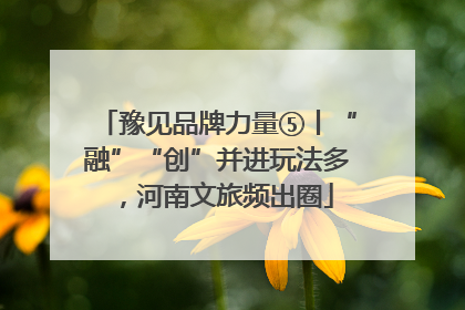 豫见品牌力量⑤丨“融”“创”并进玩法多，河南文旅频出圈