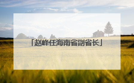 赵峰任海南省副省长