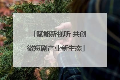赋能新视听 共创微短剧产业新生态