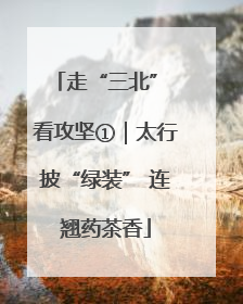 走“三北” 看攻坚①｜太行披“绿装” 连翘药茶香