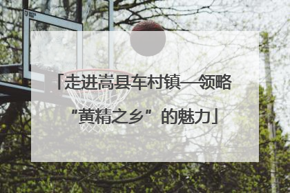 走进嵩县车村镇—领略“黄精之乡”的魅力