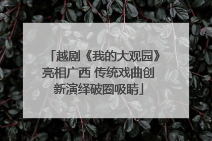 越剧《我的大观园》亮相广西 传统戏曲创新演绎破圈吸睛