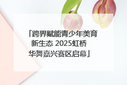 跨界赋能青少年美育新生态 2025虹桥华舞嘉兴赛区启幕