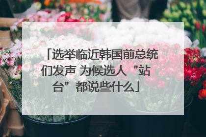 选举临近韩国前总统们发声 为候选人“站台”都说些什么