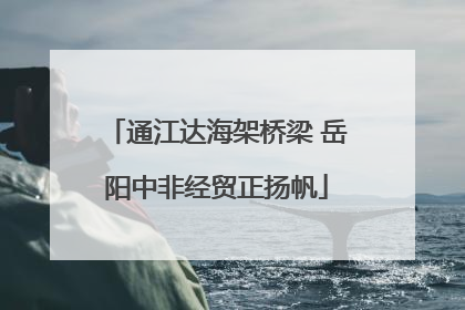 通江达海架桥梁 岳阳中非经贸正扬帆