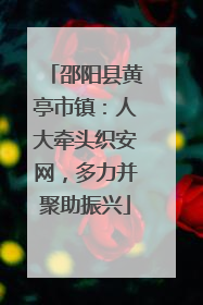 邵阳县黄亭市镇：人大牵头织安网，多力并聚助振兴