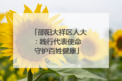 邵阳大祥区人大：践行代表使命 守护百姓健康