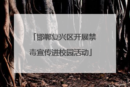 邯郸复兴区开展禁毒宣传进校园活动