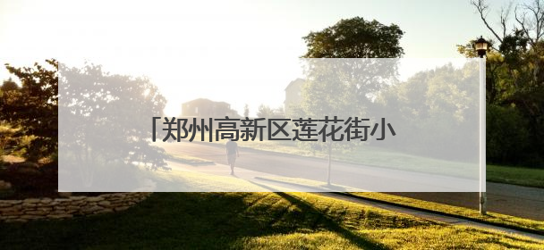郑州高新区莲花街小学检查作业促教学