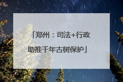 郑州：司法+行政助推千年古树保护