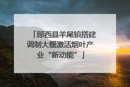 郧西县羊尾镇搭建调制大棚激活烟叶产业“新动能”