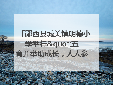 郧西县城关镇明德小学举行"五育并举助成长，人人参与逐梦行"庆六一活动