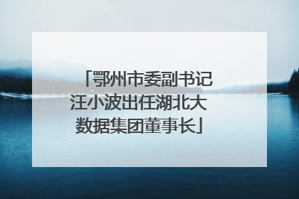鄂州市委副书记汪小波出任湖北大数据集团董事长