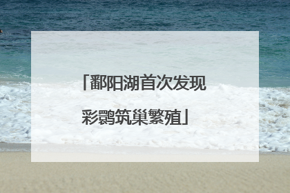 鄱阳湖首次发现彩鹮筑巢繁殖