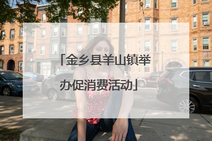 金乡县羊山镇举办促消费活动