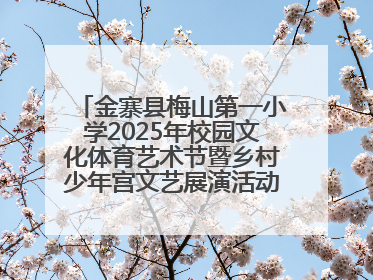 金寨县梅山第一小学2025年校园文化体育艺术节暨乡村少年宫文艺展演活动圆满落幕